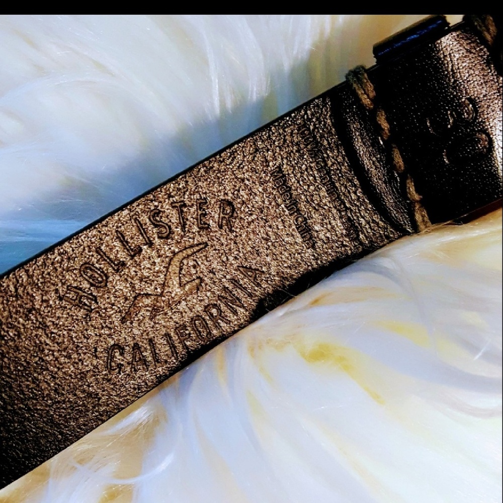 Hollister Belt